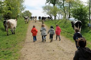 En vacances tou seul  la ferme