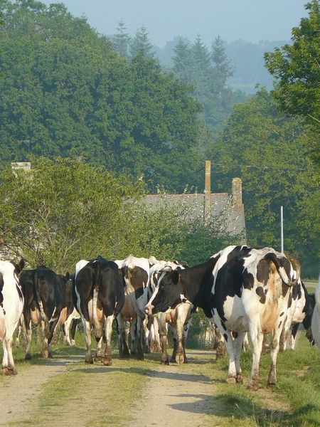 Ferme pédagogique - La Rofinière pour les enfants