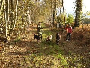 Promenade en famille